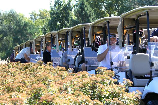 Golf Carts Golf Carts
